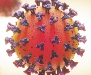 Het coronavirus Het coronavirus